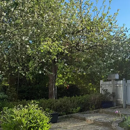Apartment Wohlfuehldomizil